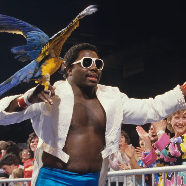 Koko B. Ware
